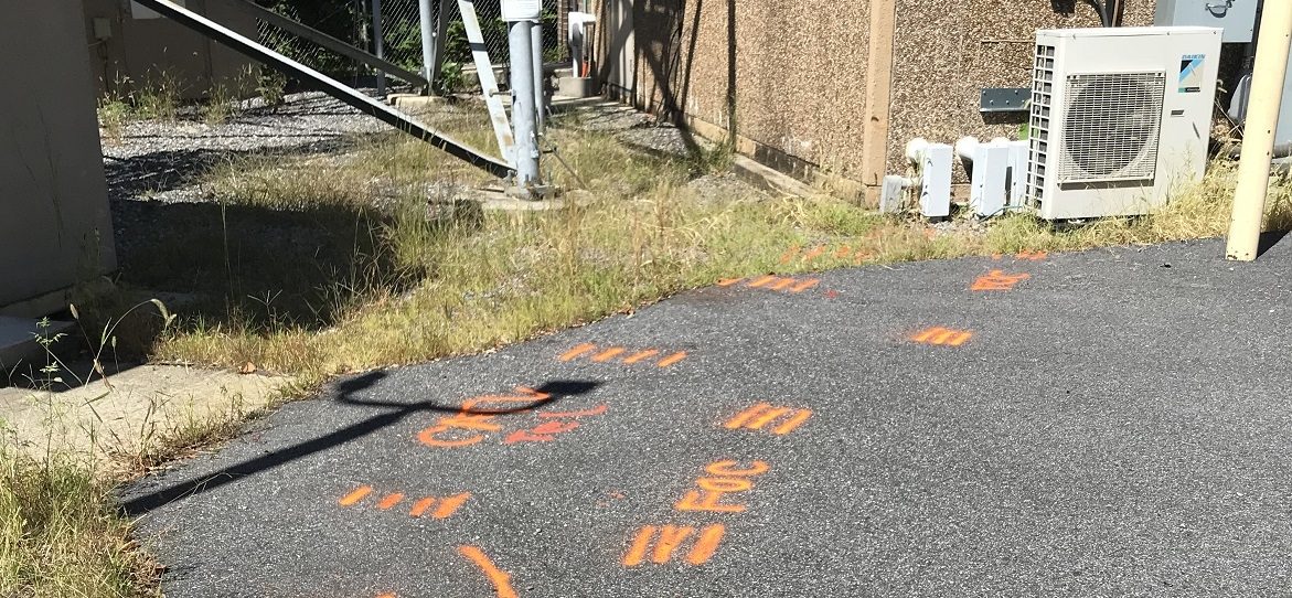 Orange paint on ground marking location of major communication line cooridor